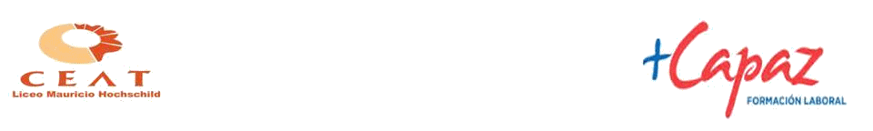 2016_mas_capaz_01