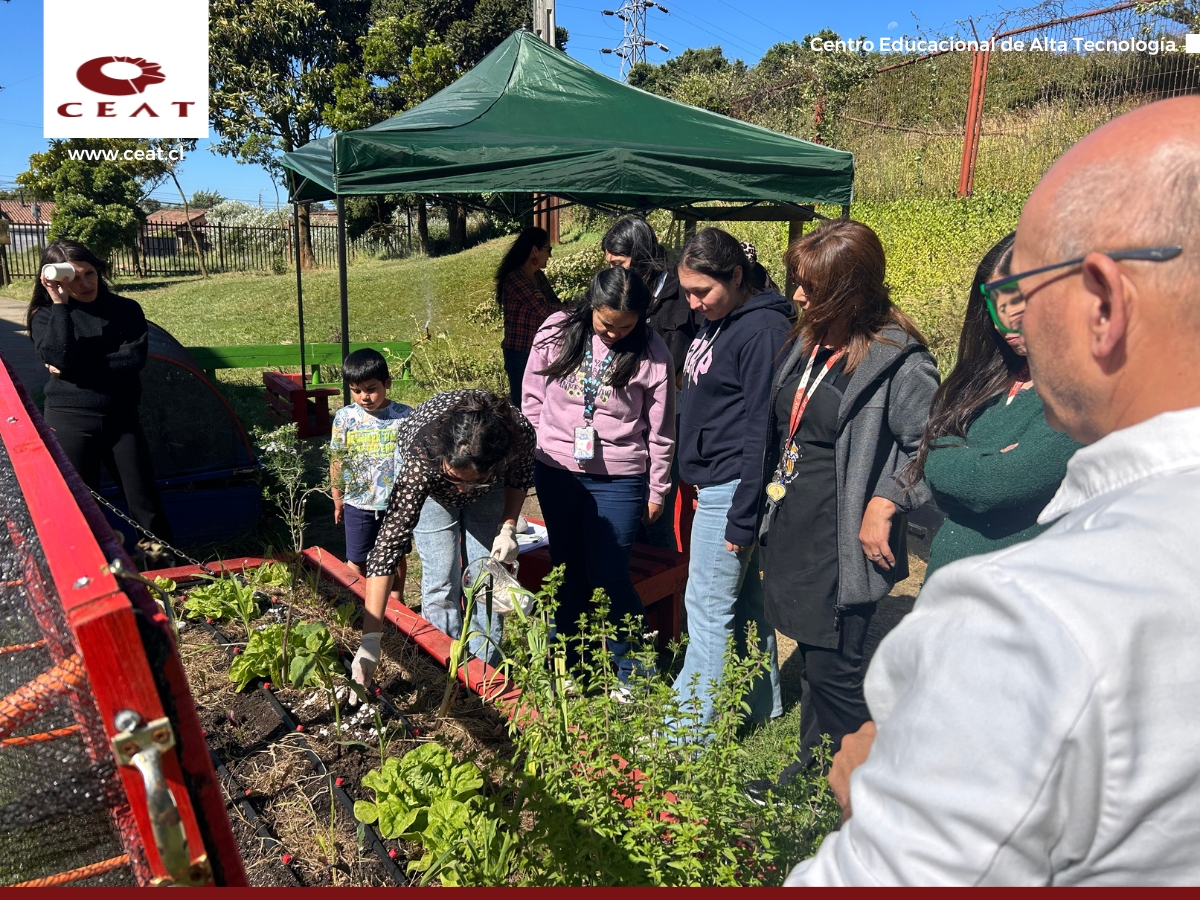 2ª jornada del taller de Huerto Sustentable