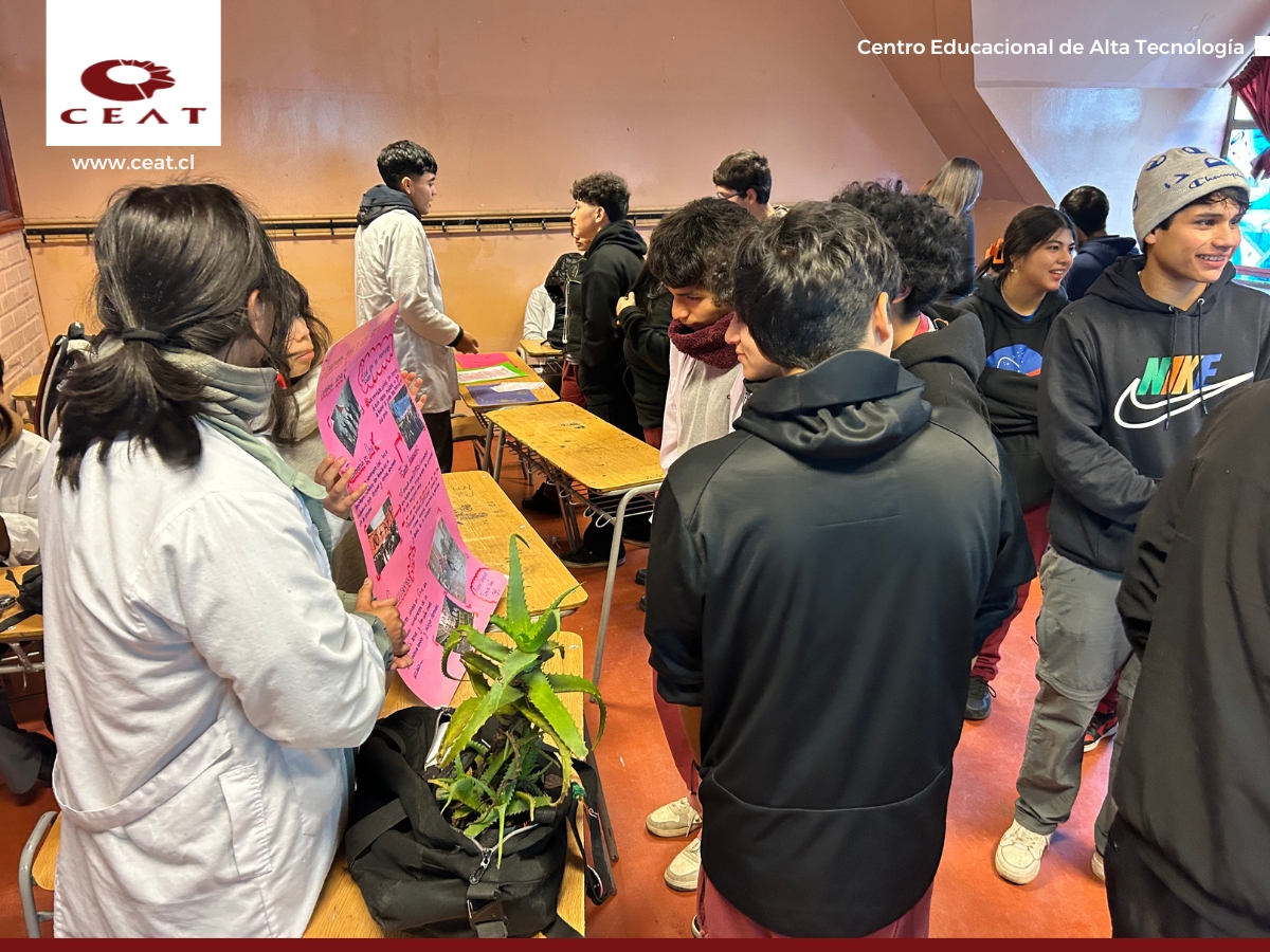 Mini-Feria Ciudadana_ Aprendiendo sobre Democracia (2)