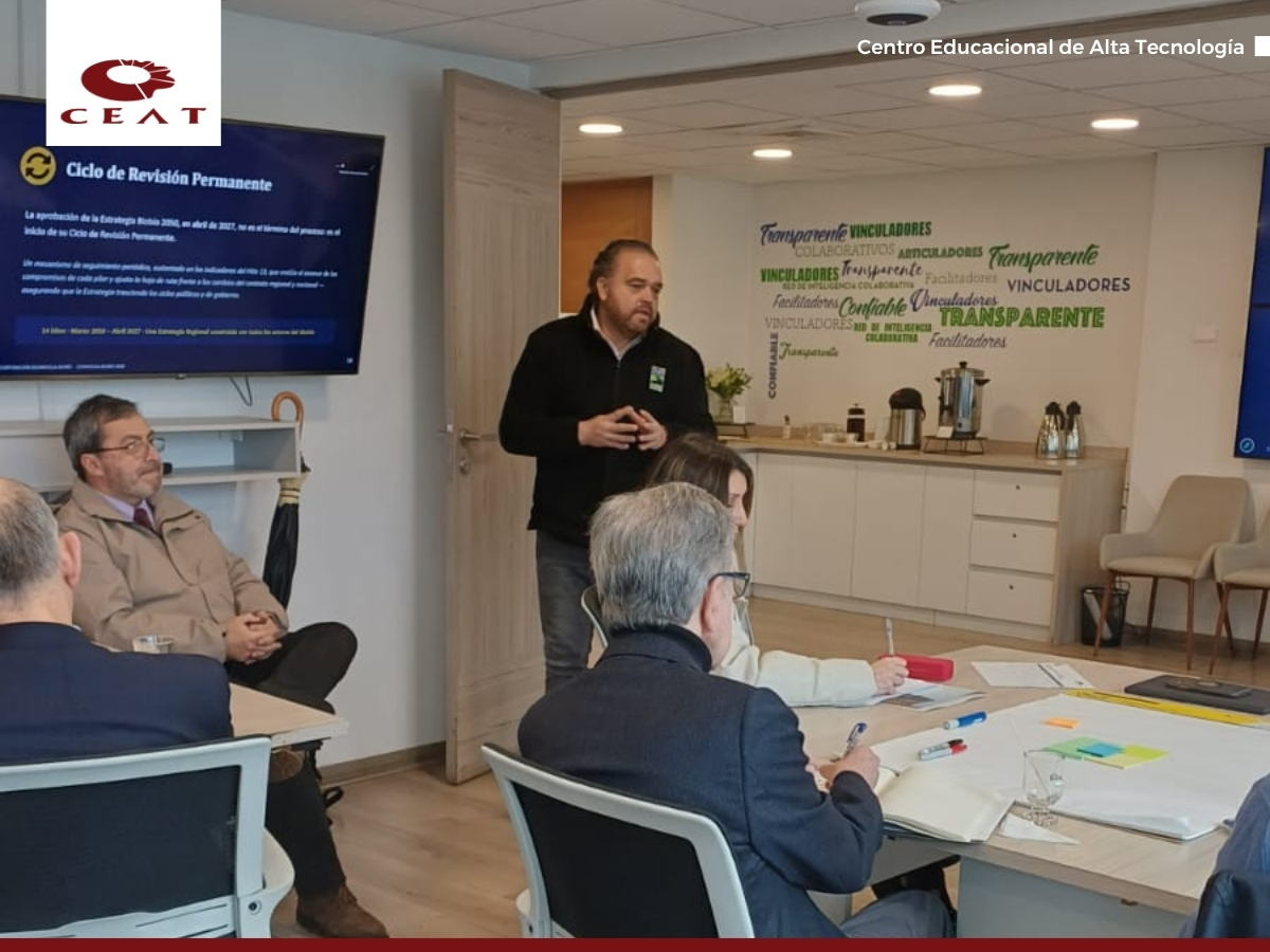 Plan Estratégico de Desarrollo Regional Biobío 2050 (2)